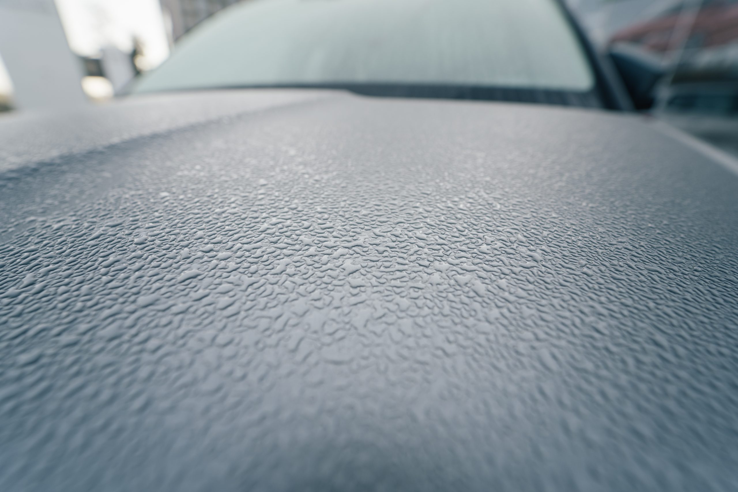 Raindrops on the hood of the car.